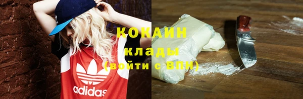 гашик Новозыбков