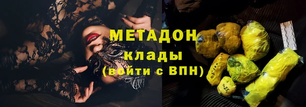 гашик Новозыбков