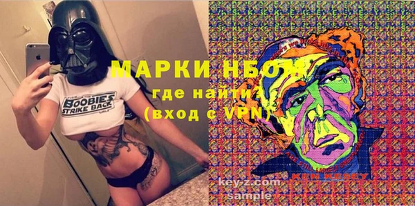 гашик Новозыбков