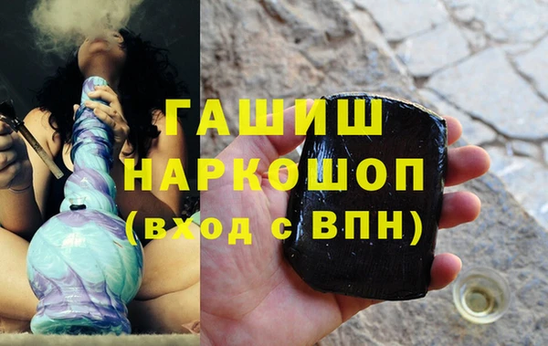 гашик Новозыбков