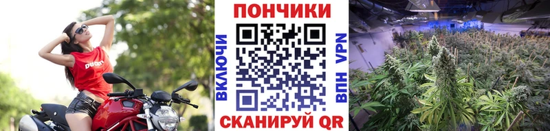 omg ССЫЛКА  Лянтор  Бошки Шишки гибрид 